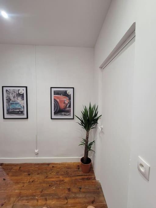 Appartement De Charme Avec Tomettes Et Parquet Graulhet Eksteriør bilde